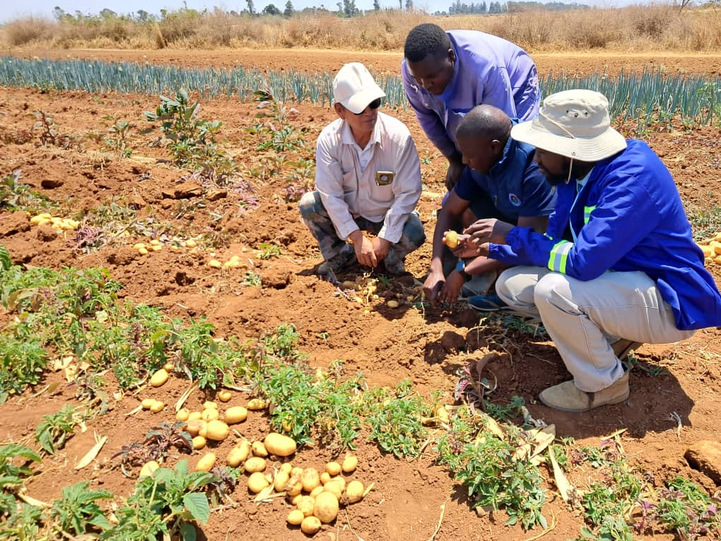 Agricultural Biotechnology